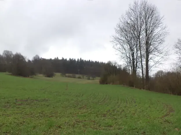 Dražba pole, Mladý Smolivec, 15075 m2