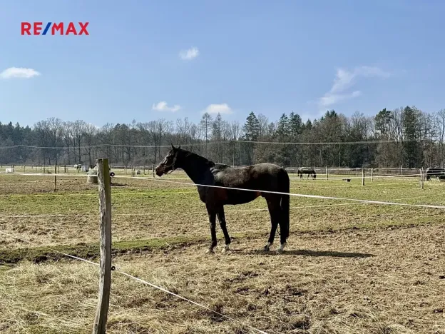 Prodej zemědělského objektu, Spálené Poříčí, 164000 m2