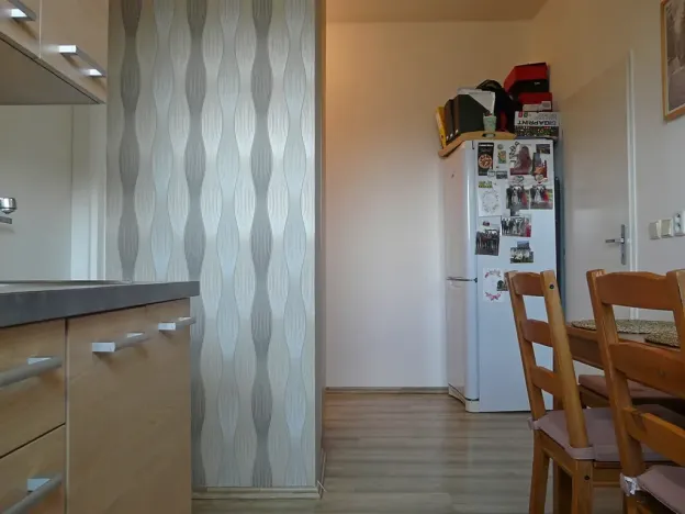 Pronájem bytu 1+1, Brno, Zvěřinova, 53 m2