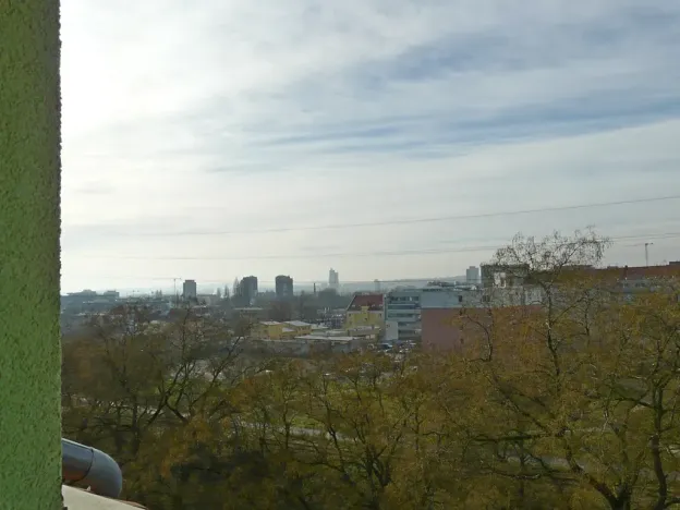 Pronájem bytu 1+1, Brno, Zvěřinova, 53 m2