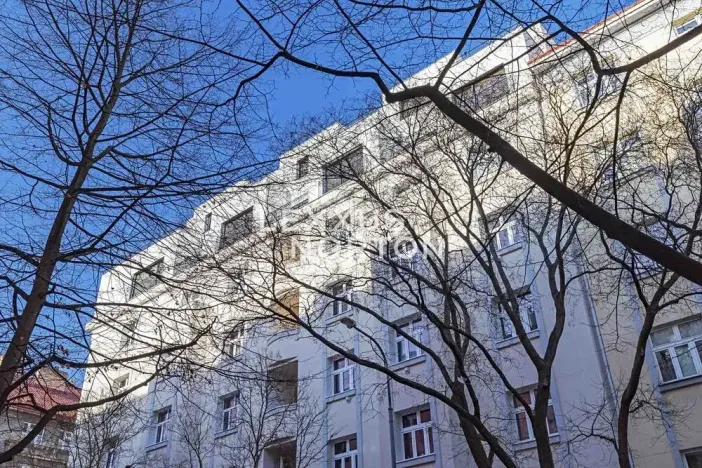 Prodej bytu 2+kk, Praha - Žižkov, Biskupcova, 69 m2