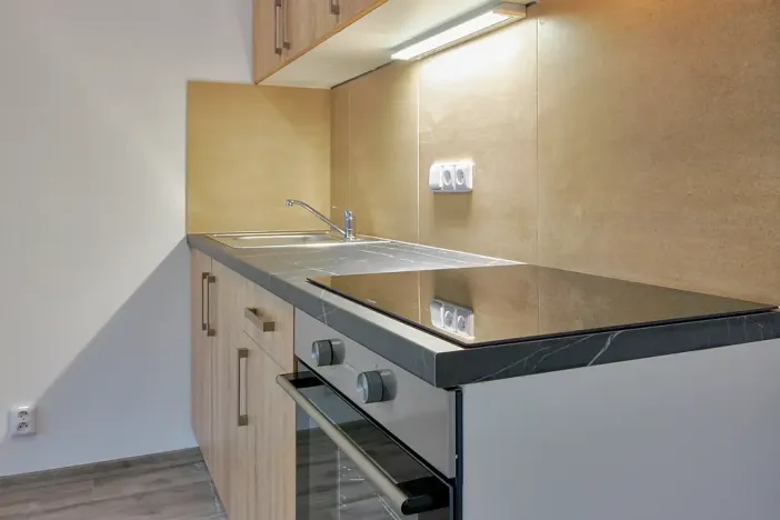 Pronájem bytu 1+kk, Plzeň, Železniční, 50 m2