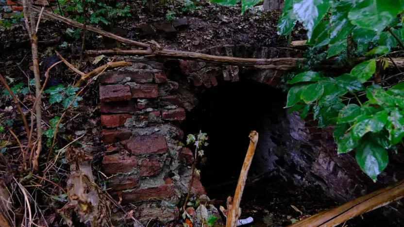 Prodej pozemku pro bydlení, Police, 1100 m2