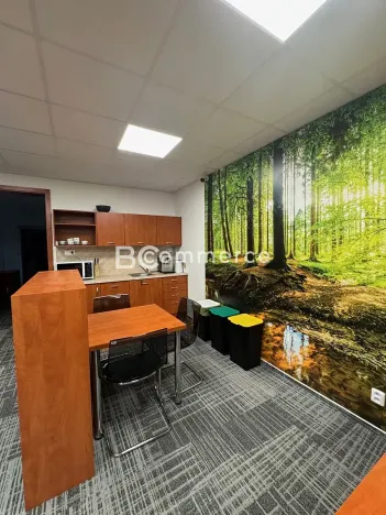 Pronájem obchodního prostoru, Brno, U Leskavy, 92 m2