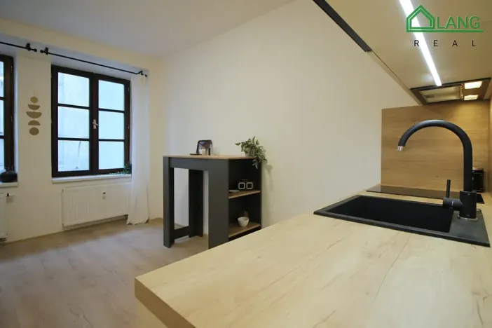 Pronájem bytu 1+kk, Brno, Francouzská, 23 m2