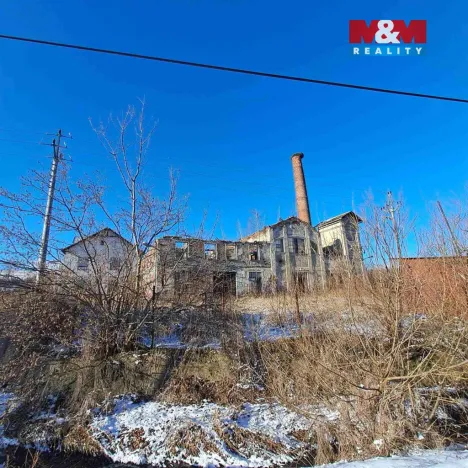 Prodej výrobních prostor, Ryžoviště, Tovární, 500 m2