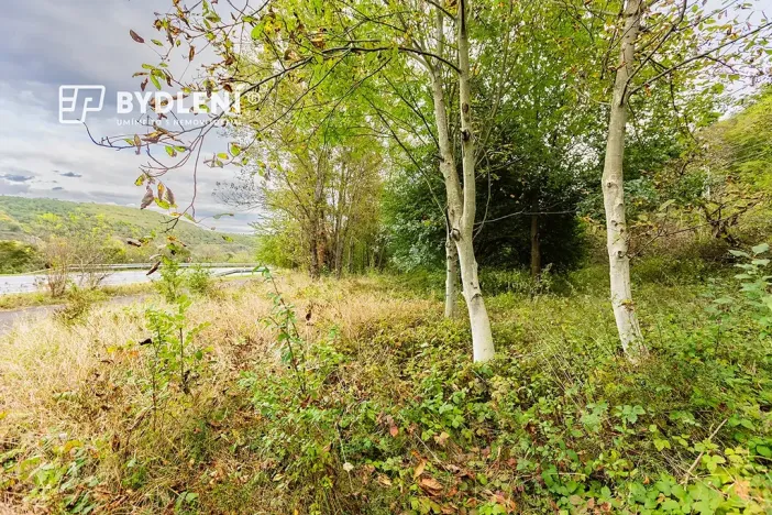 Prodej zahrady, Malé Žernoseky, 1568 m2