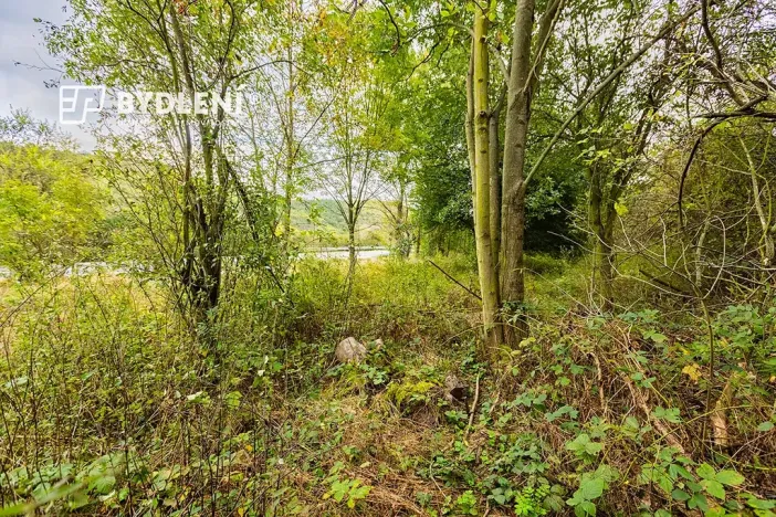 Prodej zahrady, Malé Žernoseky, 1568 m2