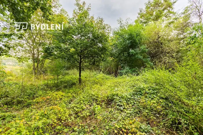 Prodej zahrady, Malé Žernoseky, 1568 m2