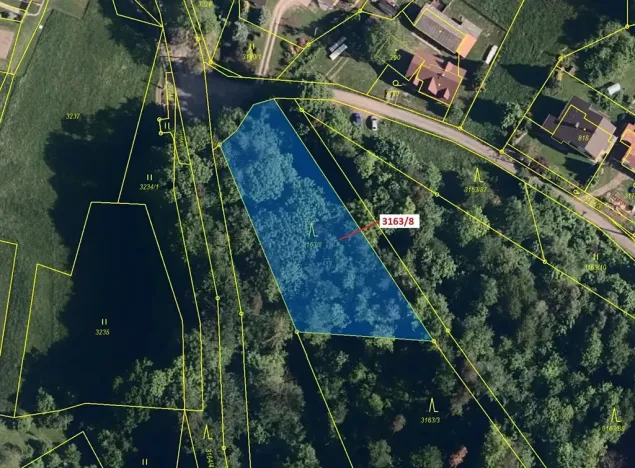 Dražba lesa, Třinec, 1981 m2