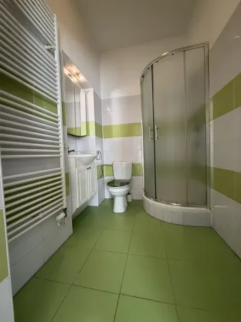 Pronájem bytu 2+1, Plzeň, Božkovská, 55 m2