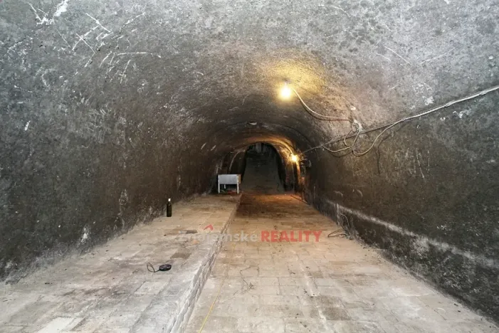 Prodej vinného sklepa, Chvalovice, 106 m2