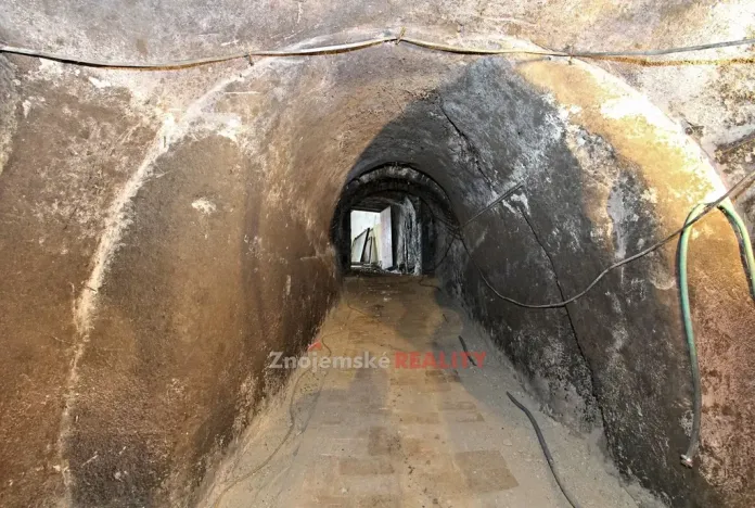 Prodej vinného sklepa, Chvalovice, 106 m2