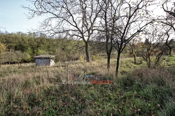 Pronájem zahrady, Znojmo, 3635 m2