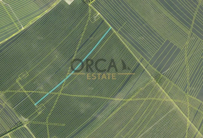 Prodej pole, Moravská Nová Ves, 7471 m2