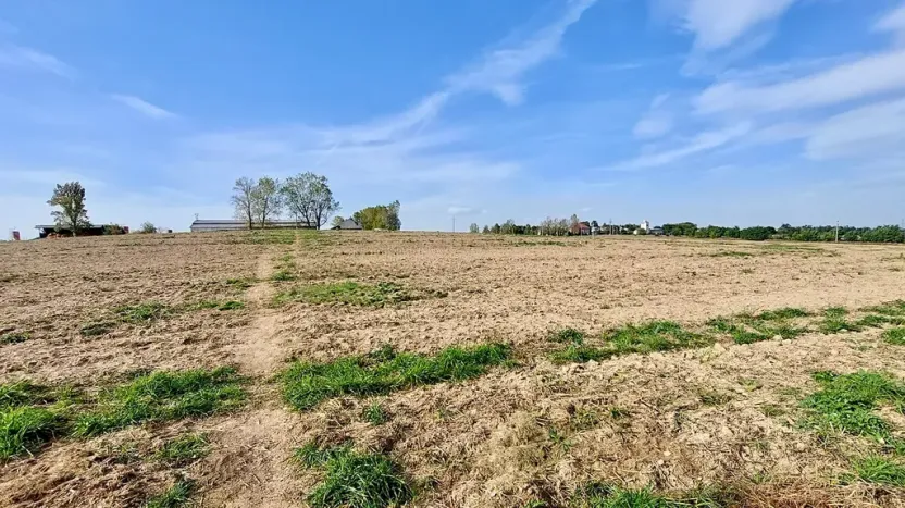 Prodej pozemku pro bydlení, Hrušovany u Brna, Pod Střediskem, 875 m2