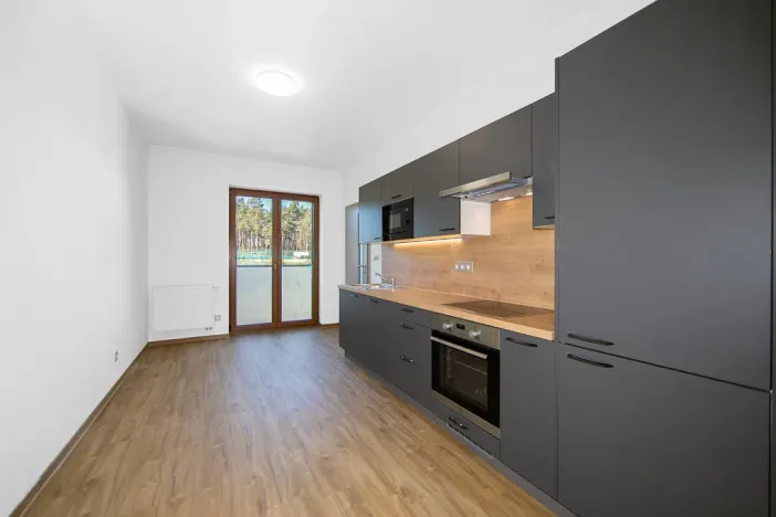 Pronájem bytu 1+1, Plzeň - Severní Předměstí, Bolevecká, 47 m2