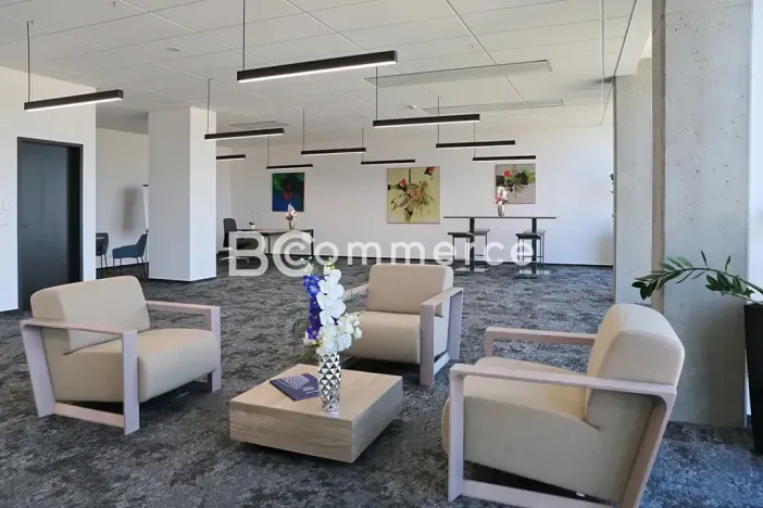 Pronájem kanceláře, Brno, 445 m2