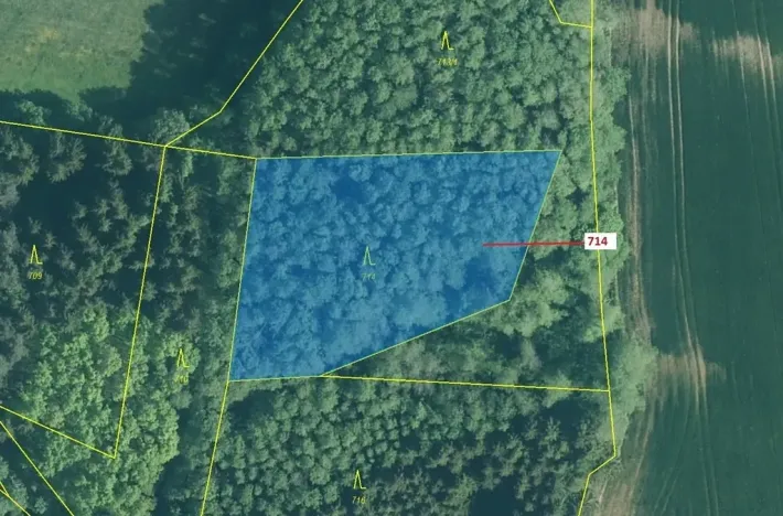 Dražba lesa, Kuřimany, 2850 m2