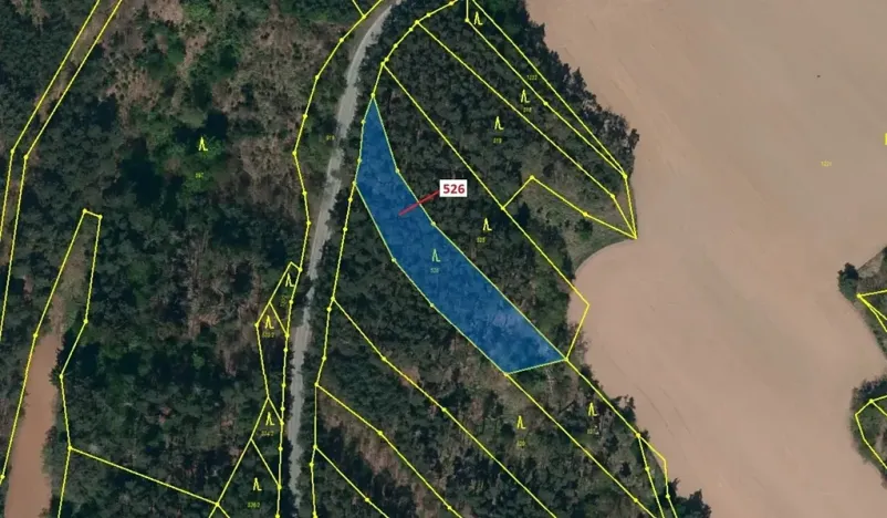 Dražba lesa, Náměšť nad Oslavou, 1796 m2