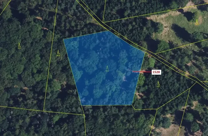 Dražba lesa, Vranová Lhota, 5323 m2