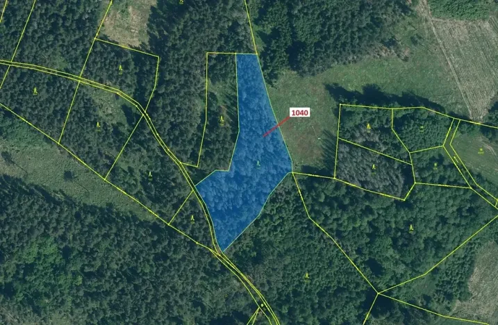 Dražba lesa, Hradiště, 6519 m2