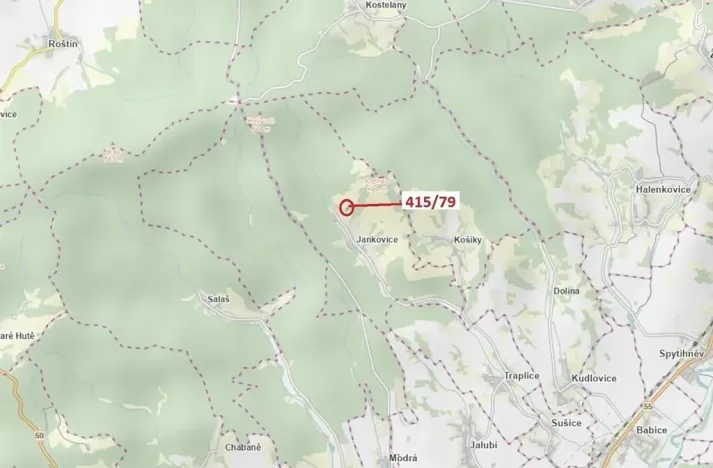 Dražba louky, Jankovice, 2523 m2