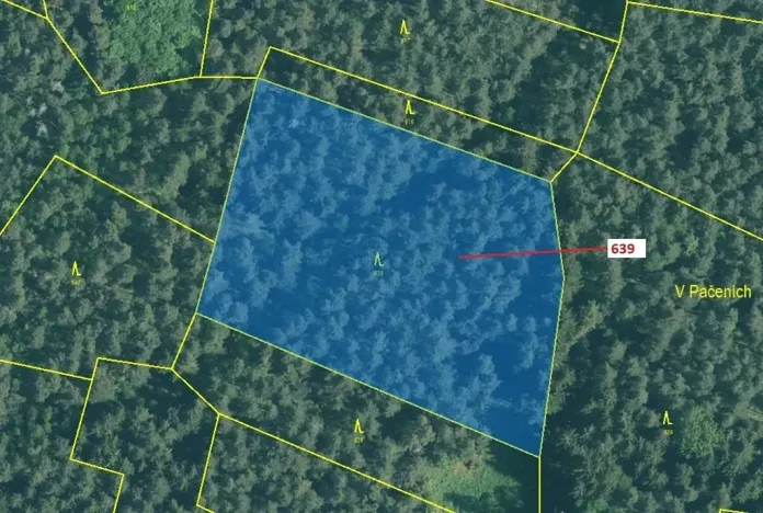 Dražba lesa, Kuřimany, 8912 m2