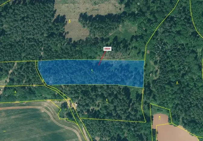 Dražba lesa, Kryry, 7695 m2