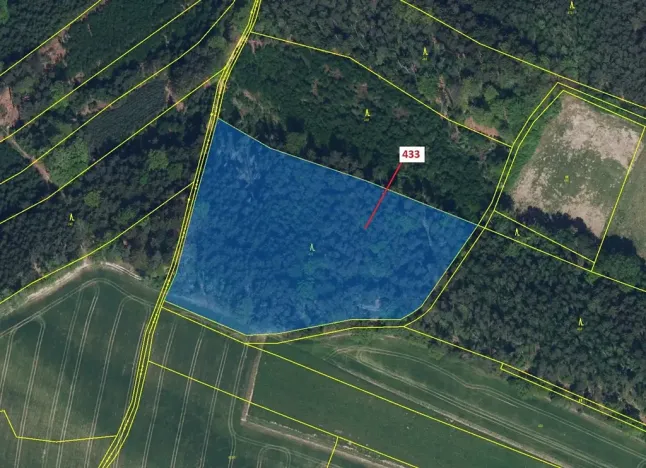 Dražba lesa, Olešnice, 15106 m2