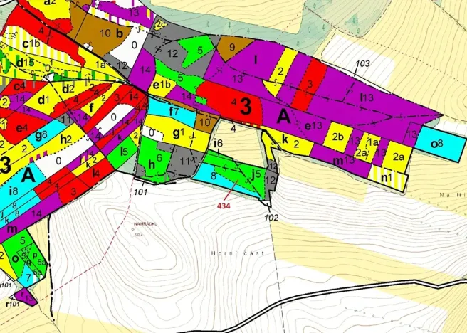 Dražba lesa, Olešnice, 15378 m2