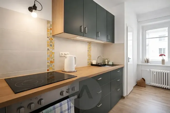 Prodej bytu 2+1, Brno, Tábor, 58 m2