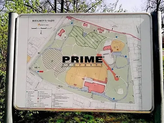 Pronájem bytu 3+1, Praha - Vinohrady, Polská, 105 m2