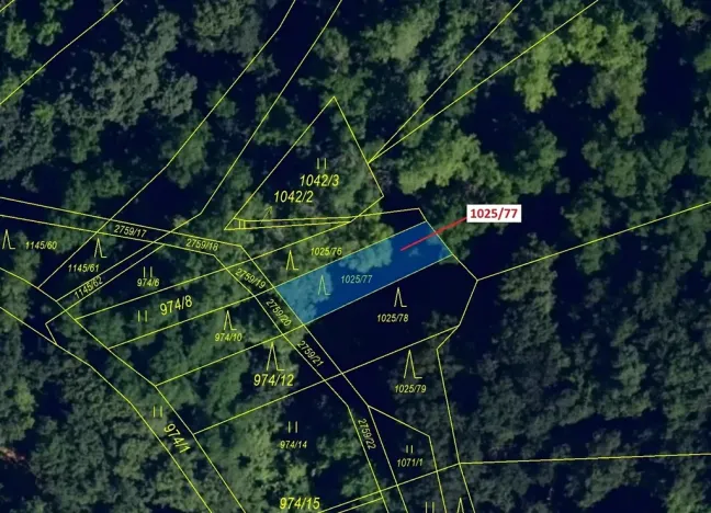 Dražba lesa, Ivančice, 140 m2