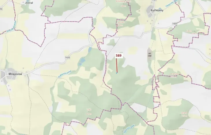 Dražba lesa, Kuřimany, 713 m2