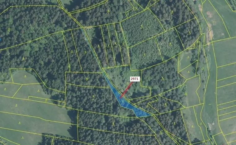 Dražba lesa, Lačnov, 1723 m2