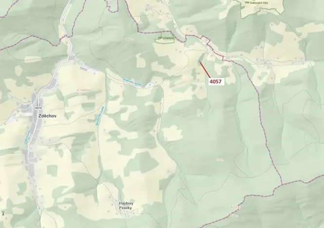 Dražba lesa, Zděchov, 435 m2