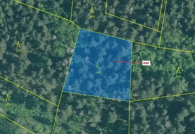 Dražba lesa, Kuřimany, 1722 m2