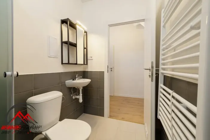 Pronájem bytu 1+kk, Ostrava, Palackého, 29 m2