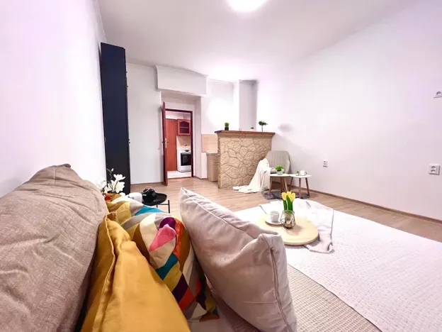 Prodej bytu 1+1, Praha - Žižkov, Biskupcova, 29 m2