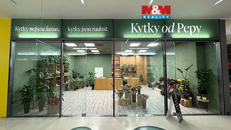 Pronájem obchodního prostoru, Brno - Brno-město, náměstí Svobody, 64 m2