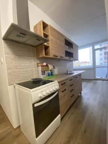 Pronájem bytu 3+1, Most, M. G. Dobnera, 63 m2