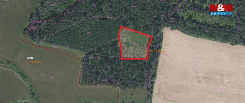 Prodej lesa, Třešovice, 4545 m2