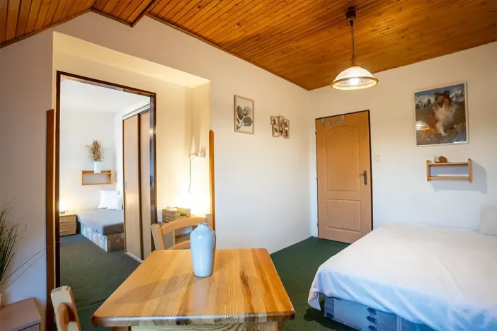 Prodej ubytování, Strážné, 450 m2