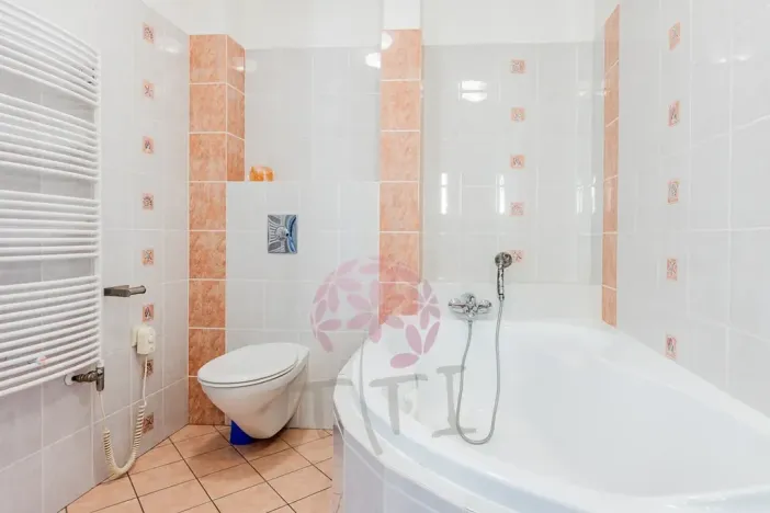 Pronájem bytu 4+kk, Praha - Karlín, Thámova, 120 m2