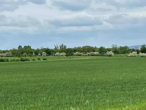 Prodej pole, Brno, 11752 m2