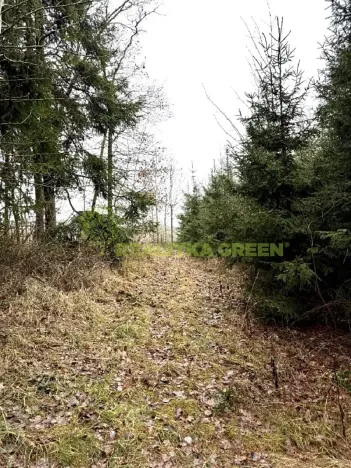 Prodej lesa, Konice, 3343 m2