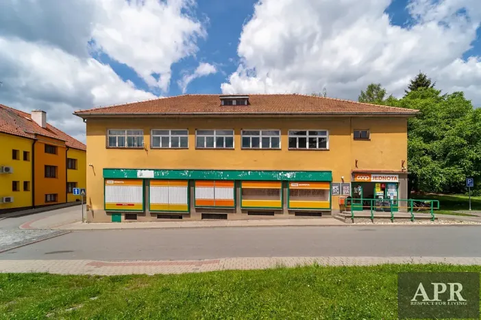 Pronájem obchodního prostoru, Topolná, 266 m2