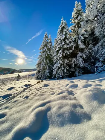 Prodej rodinného domu, Kvilda, 408 m2