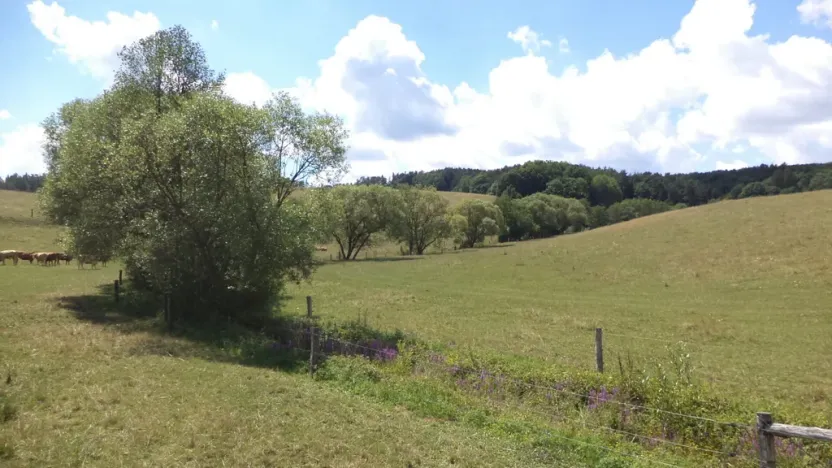 Prodej pole, Slavičín - Nevšová, 16521 m2